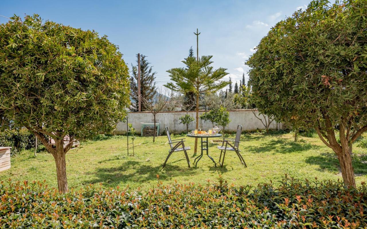 Eleni'S Cozy Apartment In Tsilivi Gaitani Exterior photo